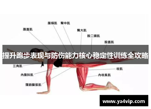 提升跑步表现与防伤能力核心稳定性训练全攻略