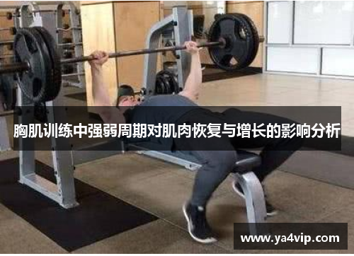 胸肌训练中强弱周期对肌肉恢复与增长的影响分析